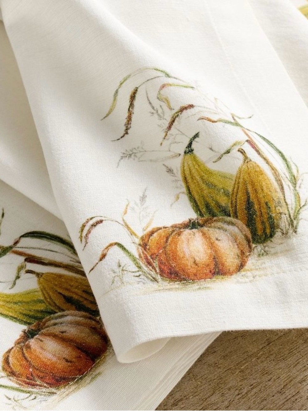 Pottery Barn Bedford Harvest Napkins - Picture 2 of 12